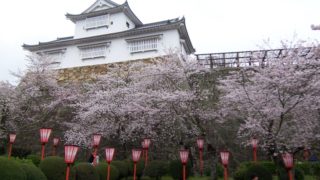 岡山県・鶴山公園の津山城跡(鶴山城)の津山さくらまつりに行きました