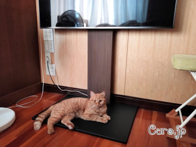 equals-wall-tv-stand-cat